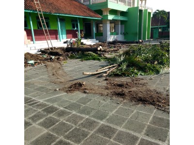Proses Renovasi