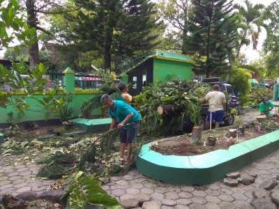 Proses Renovasi
